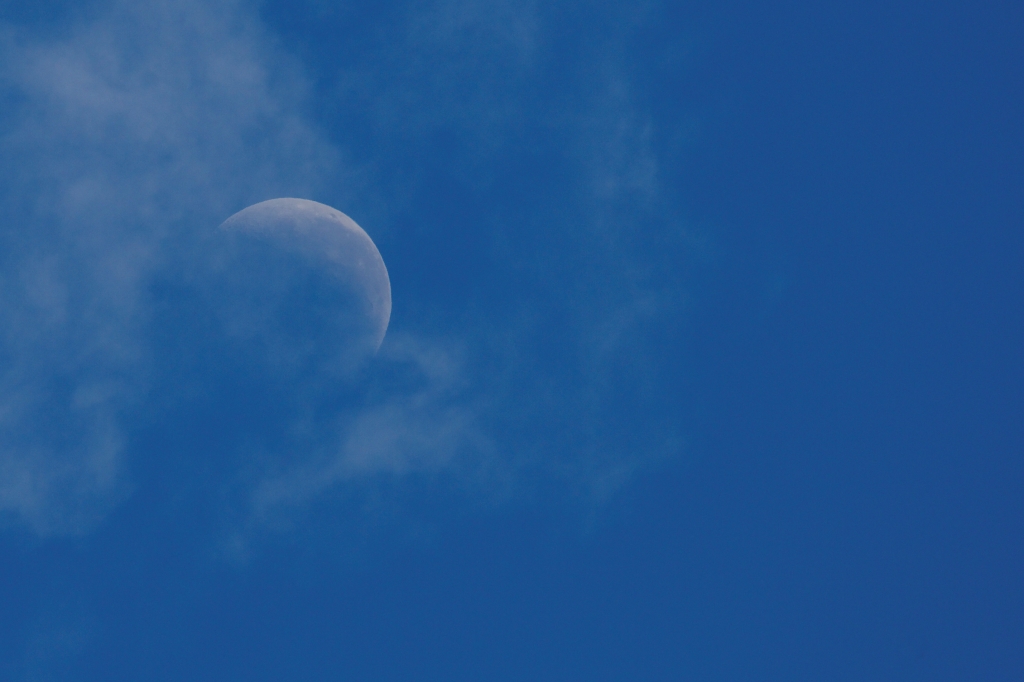 01 - Devonport (5).jpg